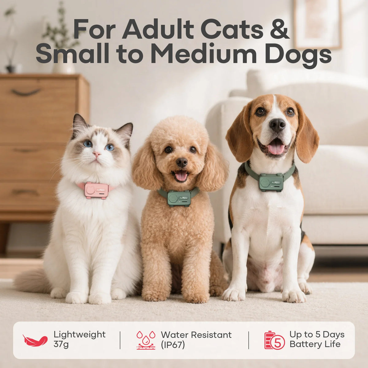 AI Smart Pet Collar Tracker