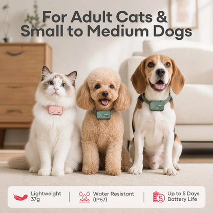 AI Smart Pet Collar Tracker